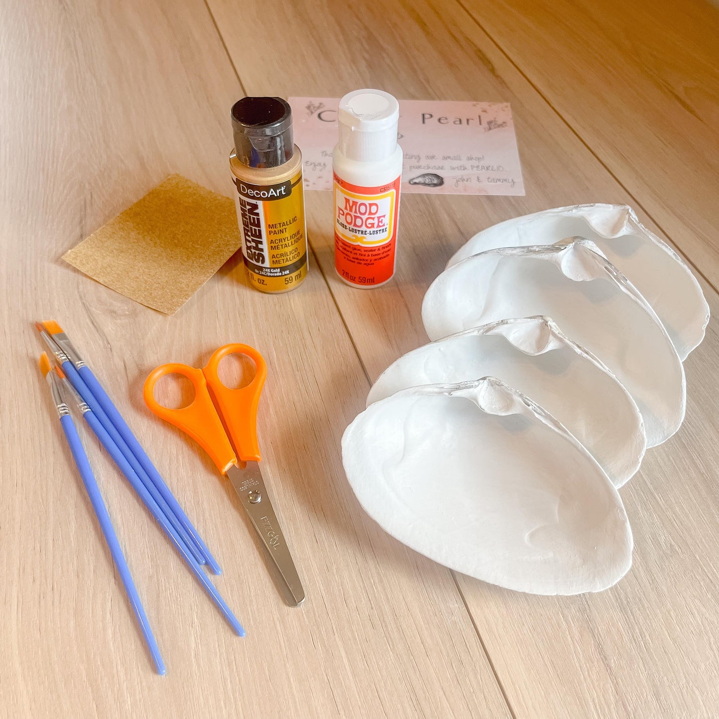 Pet Lovers Decoupage DIY Kit