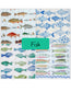 Fish Decoupage DIY Kit